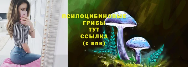 дмт Арсеньев
