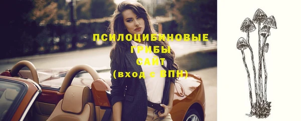 дмт Арсеньев