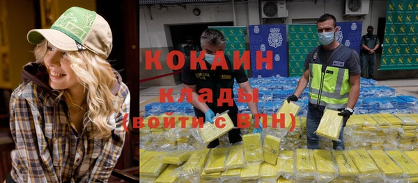 шишки Армянск