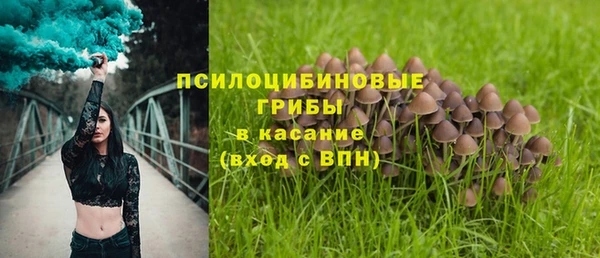 дмт Арсеньев