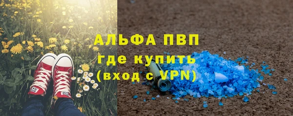 стафф Алзамай